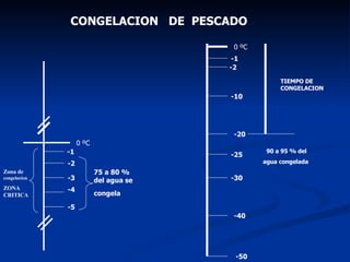 CONGELACION  DE  PESCADO  75 a 80 % del agua se congela   -1 -2 0 ºC -3 -4 -5 Zona de  congelacion ZONA CRITICA 0 ºC -1 -2 -10 -20 -40 -50 -30 -25 90 a 95 % del  agua congelada   TIEMPO DE CONGELACION 