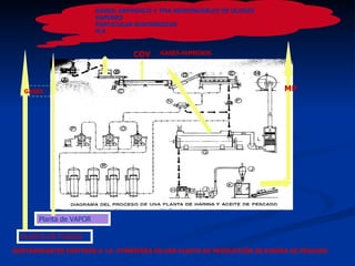 CONTAMINANTES EMITIDOS A  LA  ATMÓSFERA EN UNA PLANTA DE PRODUCCIÓN DE HARINA DE PESCADO   PLANTA DE FUERZA Planta de VAPOR COV GASES HUMEDOS MP GASES  GASES; AMONIACO Y TMA RESPONSABLES DE OLORES   VAPORES PARTICULAS SUSPENDIDAS H 2 S 