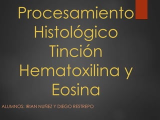 Procesamiento
Histológico
Tinción
Hematoxilina y
Eosina
ALUMNOS: IRIAN NUÑEZ Y DIEGO RESTREPO
 
