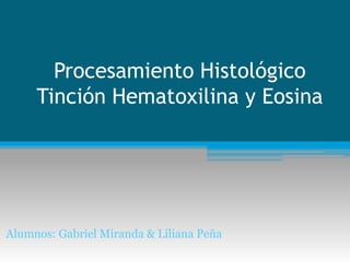 Procesamiento Histológico
Tinción Hematoxilina y Eosina
Alumnos: Gabriel Miranda & Liliana Peña
 