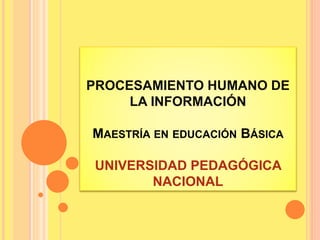 PROCESAMIENTO HUMANO DE 
LA INFORMACIÓN 
MAESTRÍA EN EDUCACIÓN BÁSICA 
UNIVERSIDAD PEDAGÓGICA 
NACIONAL 
 