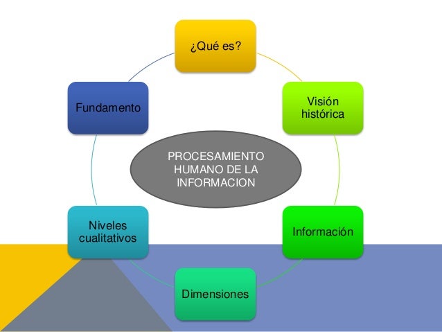 Procesamiento humano de la informacion mi pres