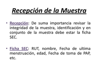 Recepción de la MuestraRecepción: De suma importancia revisar la integridad de la muestra, identificación y en conjunto de la muestra debe estar la ficha SEC.Ficha SEC: RUT, nombre, Fecha de ultima menstruación, edad, Fecha de toma de PAP, etc.