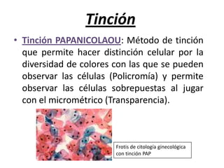 TinciónTinción PAPANICOLAOU: Método de tinción que permite hacer distinción celular por la diversidad de colores con las que se pueden observar las células (Policromía) y permite observar las células sobrepuestas al jugar con el micrométrico (Transparencia).Frotis de citología ginecológica con tinción PAP