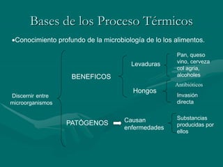Bases de los Proceso Térmicos
BENEFICOS
PATÓGENOS
Levaduras
Pan, queso
vino, cerveza
col agria,
alcoholes
Hongos
Antibióticos
Causan
enfermedades
Invasión
directa
Substancias
producidas por
ellos
Conocimiento profundo de la microbiología de lo los alimentos.
Discernir entre
microorganismos
 