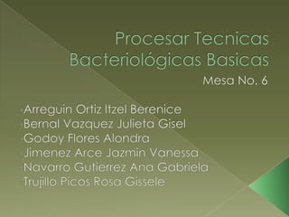 Procesar Tecnicas BacteriológicasBasicas Mesa No. 6 ,[object Object]