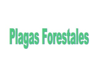 Plagas Forestales 