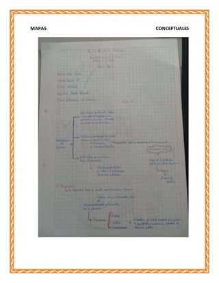 MAPAS CONCEPTUALES
 