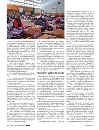 40 1927 / 6 DE OCTUBRE DE 2013
Este es uno de los 49 campamentos
improvisados en La Montaña de Guerrero,
la región más pobre del país, el sótano de
la miseria mexicana, donde viven algunos
de los 13 mil 200 indígenas damnificados
por el aplastamiento de sus pueblos bajo
toneladas de lodo desgajadas por la tor-
menta tropical Manuel.
Humberto, aunque no se da cuenta, ya
pasó a ser uno de los miles de desplaza-
dos de La Montaña, de los Jacintos Ceno-
bios expulsados de sus paraísos, a punto
de convertirse en nómadas.
“Llora mucho, no tiene cobija, no tiene
huarache. Necesita Minsa, masa. No hay
nada, se va todo, también ropa, tiene gripa
de una semana”, lamenta su madre, Na-
talia Vázquez Martínez, una de las niñas-
madres que pueblan esta zona.
No ha podido lavarle la ropa al bebé,
dice, y muestra la bolsa de detergente va-
cía.
Un par de ancianas cocinan chayotes y
ejotes en una lata de chile adaptada como
sartén, arriba de una fogata. Las rodean
niños semidesnudos.
Humberto no es el único niño desnu-
do y con hambre. Hay otro, de dos años y
con la panza inflada, sin mechas de pe-
lo, la piel marchita, cubierto sólo por una
camisa casi transparente de tanto uso.
Tres niñas tiritan. Traen el pelo mojado.
Están recién bañadas aunque no tuvie-
ron jabón para lavarse. Encogidas, tro-
nando los dientes, se secan bajo este sol
que no calienta, entre nubes que empa-
ñan la vista.
La adolescente que ayuda como tra-
ductora habla con una mujer y luego di-
ce: “Sí, quiere ir a otro lado, aquí está muy
feo. Milpa se cayó, toda cosa. Ni un traste
lleva ella. Nomás ella siempre prestado”.
Hacia abajo de la barranca está su pue-
blo. Los caminos parecen tasajeados con
machetes gigantes, que le marcaron con
saña zanjas profundas a la tierra. Los ce-
rros no tienen pellejos que los cubran, los
empinados plantíos saltaron al precipicio.
Las rocas quedaron a la vista.
El pueblo quedó hecho un lamento.
Las casas enterradas en una lava de lodo
que sólo dejó a la vista los techos, algunas
copas de árboles, postes tirados ensegui-
da de la iglesia, esa sí erguida, como testi-
go entre la destrucción.
“¿Parece La Pintada, no?”, dice José Al-
fredo, un universitario na’ saavi que se
ofreció como guía, en referencia a la co-
munidad sepultada por un alud en la que
fallecieron sepultadas más de 70 personas
en el municipio de Atoyac.
“Ese techo rojo que se ve era la prima-
ria, a un lado estaba la Casa de Salud, esa
ya no se ve, ni siquiera su pista. Dicen que
como 40 casas quedaron sepultadas”, ex-
plica Meche Ortiz, otra universitaria que
conduce al grupo de periodistas.
“Manuel” les quitó hasta el suelo
Caminar por San Miguel es como meter-
se a un laberinto a escala de gigantes. Pa-
ra caminar 10 metros a veces hay que bus-
car veredas, cruzar nuevas barrancas y
nuevos ríos para cambiar de una sección
a otra. Hay que hacer alpinismo y agarrar-
se de troncos, de plantas con la raíz plan-
tada en la tierra para no caer. Cuidar no
pisar las grietas que se abren en el sue-
lo.Tampoco acercarse a los bordes porque
son resbaladizos. La tierra está suelta. Ca-
da tanto el cerro se sacude, se deshace en
moronas que se convierten en pequeñas
avalanchas.
Este día los militares intentaron ate-
rrizar dos helicópteros en la arena que pa-
rece movediza, que chupa cualquier peso,
pero no lo consiguieron. La gente nomás
se saboreó la ayuda que les pasó de cerca
y no se quedó.
“Nomás comimos todo lo que tra-
jo el helicóptero. Un día trajo 30 despen-
sas, otro vino a dejar 33. Ayer vino UPN,
dejó un poco allá arriba y en Tierra Blan-
quita. Todo ya lo comimos”, dice la joven
Obdulia García Vázquez, otra niña-madre
de tres.
Las voces de las mujeres y los ancia-
nos del campamento, traducidas por la
adolescente, repiten las frases. Juntas se
escuchan así: “Sufrimos mucho porque
aquí hace mucho frío, aquí sí entra un po-
co”.“No hay nada, quedó bien feo todo, ta-
bla se va toda, ropa se va toda”. “Necesi-
to cobija, también huarache, jabón, ropa”.
“Tanque todo se rompió, también man-
guera”. “Se cae casa de adobe, mira cómo
quedó, se fue ropa, todas sus cosas. Ella es
madre soltera, no tiene marido”. “La casa
se quedó, mis ropas, las comidas, todos,
lo que necesitamos, pues, allá está”. “Bien
rapidito se acaba despensa porque somos
mucho”. “Que nos apoye más porque aquí
sufrimos mucho, la Diconsa toda se tapó”.
“Los niños es obligación estudiar, quere-
mos maestro que mande que pueda en-
señar”. ·El niño no tiene medicina, duele
cabeza”.
Los desplazados saben que no podrán
habitar este lugar, pero tampoco se imagi-
nan en otro sitio. “Mejor que nos den otro
lugar porque puede bajar eso que ya está
bajando, que ayer se rompió, parece que
quiere caer toda”, agrega la señora Obdu-
lia, ya con reservas para nombrar a la tie-
rra del cerro, aflojada por la tormenta.
Mientras las autoridades deciden su
suerte, los pobladores de San Miguel, co-
mo los personajes malditos en la antigüe-
dad, viven junto al panteón. Y lanzan co-
hetes al aire como desesperados, festejan
a San Miguel para agradar al ser que les
mandó el diluvio y como pidiendo que les
retire su castigo.
En toda la región de La Montaña Ma-
nuel se llevó al menos 22 almas. Según un
reporte del gobierno federal, también pro-
vocó que más de 13 mil personas huyeran
de sus casas, dejó a 30 mil familias dam-
nificadas que pasan penurias para conse-
guir alimentos porque los caminos están
cortados y sus milpas no resistieron.
Cuando se cumplen tres semanas del
diluvio, 250 comunidades permanecen in-
comunicadas porque 165 tramos carrete-
ros quedaron destrozados y 63 puentes se
cayeron.
La naturaleza desplazó a 2 mil 657 fa-
milias, la mayoría indígenas me’phaa,
na’saavi y nahuas. Las autoridades comu-
nitarias de 32 poblados no quieren volver
al mismo lugar, demandan que los reubi-
quen.
El poder destructivo de Manuel fue tal
que 18 de los 19 municipios de La Monta-
ña fueron declarados zona de desastre. Se
ensañó más con aquellos donde habitan
los más pobres del país: Metlatónoc, Co-
choapa El Grande, Malinaltepec,Acatepec,
Tlacoapa, Copanatoyac, Atlamajalcingo
del Monte y Alcozauca.
De las 50 mil hectáreas de tierras de
cultivo, unas 14 mil quedaron arruina-
das. Como si alguien hubiera rebanado
los maizales y los hubiera arrojado del ce-
ÓscarAlvarado/Procesofoto
Despojados hasta del suelo
 