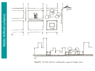 Medio Artificial (urbano) 