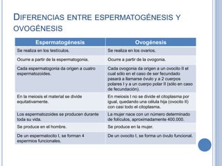 DIFERENCIAS ENTRE ESPERMATOGÉNESIS Y
OVOGÉNESIS
Espermatogénesis Ovogénesis
Se realiza en los testículos. Se realiza en los ovarios.
Ocurre a partir de la espermatogonia. Ocurre a partir de la ovogonia.
Cada espermatogonia da origen a cuatro
espermatozoides.
Cada ovogonia da origen a un ovocito II el
cual sólo en el caso de ser fecundado
pasará a llamarse óvulo y a 2 cuerpos
polares I y a un cuerpo polar II (sólo en caso
de fecundación).
En la meiosis el material se divide
equitativamente.
En meiosis I no se divide el citoplasma por
igual, quedando una célula hija (ovocito II)
con casi todo el citoplasma.
Los espermatozoides se producen durante
toda su vida.
La mujer nace con un número determinado
de folículos, aproximadamente 400.000.
Se produce en el hombre. Se produce en la mujer.
De un espermatocito I, se forman 4
espermios funcionales.
De un ovocito I, se forma un óvulo funcional.
 