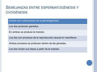 SEMEJANZAS ENTRE ESPERMATOGÉNESIS Y
OVOGÉNESIS
Ambos son subprocesos de la gametogénesis.
Los dos producen gametos.
En ambos se produce la meiosis.
Los dos son procesos de la reproducción sexual en mamíferos.
Ambos procesos se producen dentro de las gónadas.
Los dos inician sus fases a partir de la meiosis.
 