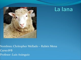 Nombres: Chritopher Mellado – Rubén Mena
Curso:8ºB
Profesor :Luis Aránguiz
 