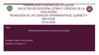 UNIVERSIDAD CENTRAL DEL ECUADOR
. FACULTAD DE FILOSOFÍA, LETRAS Y CIENCIAS DE LA
EDUCACIÓN
PEDAGOGÍA DE LAS CIENCIAS EXPERIMENTALES, QUÍMICA Y
BIOLOGÍA
ECOLOGÍA
TEMA:
PROCESO MIGRATORIO DE LAS BALLENAS GRISES
NOMBRE: LIZBETH CASTELLANOS
SEMESTRE: SEGUNDO “C”
 