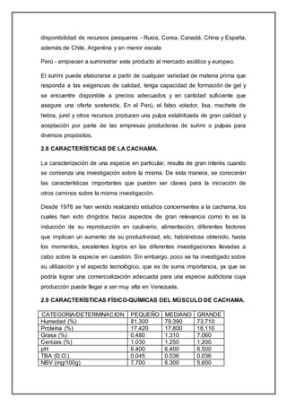 disponibilidad de recursos pesqueros - Rusia, Corea, Canadá, China y España,
además de Chile, Argentina y en menor escala
Perú - empiecen a suministrar este producto al mercado asiático y europeo.
El surimi puede elaborarse a partir de cualquier variedad de materia prima que
responda a las exigencias de calidad, tenga capacidad de formación de gel y
se encuentre disponible a precios adecuados y en cantidad suficiente que
asegure una oferta sostenida. En el Perú, el falso volador, lisa, machete de
hebra, jurel y otros recursos producen una pulpa estabilizada de gran calidad y
aceptación por parte de las empresas productoras de surimi o pulpas para
diversos propósitos.
2.8 CARACTERÍSTICAS DE LA CACHAMA.
La caracterización de una especie en particular, resulta de gran interés cuando
se comienza una investigación sobre la misma. De esta manera, se conocerán
las características importantes que pueden ser claves para la iniciación de
otros caminos sobre la misma investigación.
Desde 1976 se han venido realizando estudios concernientes a la cachama, los
cuales han sido dirigidos hacia aspectos de gran relevancia como lo es la
inducción de su reproducción en cautiverio, alimentación, diferentes factores
que implican un aumento de su productividad, etc. habiéndose obtenido, hasta
los momentos, excelentes logros en las diferentes investigaciones llevadas a
cabo sobre la especie en cuestión. Sin embargo, poco se ha investigado sobre
su utilización y el aspecto tecnológico, que es de suma importancia, ya que se
podría lograr una comercialización adecuada para una especie autóctona cuya
producción puede llegar a ser muy alta en Venezuela.
2.9 CARACTERÍSTICAS FÍSICO-QUÍMICAS DEL MÚSCULO DE CACHAMA.
CATEGORIA/DETERMINACION PEQUEÑO MEDIANO GRANDE
Humedad (%) 81.300 79.390 73.710
Proteína (%) 17.420 17.800 18.110
Grasa (%) 0.480 1.310 7.060
Cenizas (%) 1.030 1.250 1.200
pH 6.400 6.400 6.500
TBA (D.O.) 0.045 0.036 0.036
NBV (mg/100g) 7.700 6.300 5.600
 