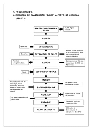 4. PROCEDIMIENDO.
4.1DIAGRAMA DE ELABORACIÓN “SURIMI” A PARTIR DE CACHAMA
(GRUPO 1).
RECEPCION DE MATERIA
PRIMA
LAVADO
DESCABEZADO
EXTRACCION DE PULPA
LAVADO
ESCURRIDO Y PESAJE
MOLIDO
ESTANDARIZACION
CUTEADO
EMPAQUE
ALMACENAMIENTO
10,025 Kg de
pescado
(Cachama).
Filetear (donde se extrae
el musculo blanco). Y se
hace un pesaje del
musculo extraído.
Desechos.
Con salmuera al 2%, aun
temperatura de 10°C por
10 minutos.
Agua.
Proteínas
sarcoplasmáticas.
Se pesa la pasta
después del molido.
Se le adicionan 3% de
azúcar y 0,3% de
polifosfato, esto con
respecto al peso de la
pasta después del
molido.
Se adicionan el azúcar
y el polifosfato.
Se pesa nuevamente la
pasta base.
Desechos.
Se pesa la pasta en
bolsa de un kilo.
Utilización de
temperaturas de
congelación de -20°C.
 