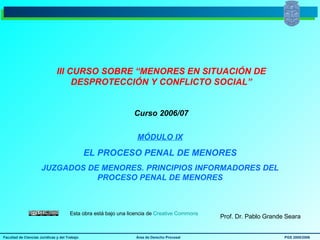 III CURSO SOBRE “MENORES EN SITUACIÓN DE DESPROTECCIÓN Y CONFLICTO SOCIAL” Curso 2006/07 MÓDULO IX EL PROCESO PENAL DE MENORES JUZGADOS DE MENORES. PRINCIPIOS INFORMADORES DEL PROCESO PENAL DE MENORES Prof. Dr. Pablo Grande Seara Esta obra está bajo una licencia de  Creative   Commons 