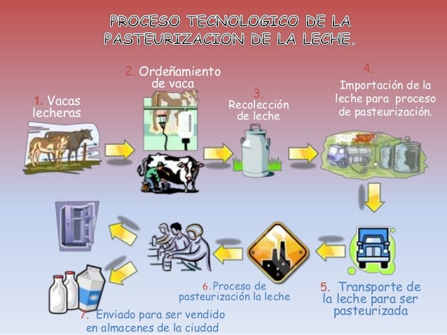 Proceso tecnologicodelapasteurizaciondelaleche