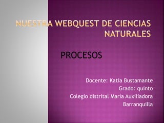 Docente: Katia Bustamante
Grado: quinto
Colegio distrital María Auxiliadora
Barranquilla
PROCESOS
 