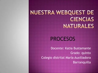 Docente: Katia Bustamante
Grado: quinto
Colegio distrital María Auxiliadora
Barranquilla
PROCESOS
 