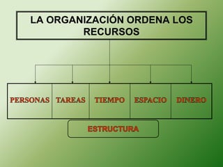 LA ORGANIZACIÓN ORDENA LOS 
RECURSOS 
 
