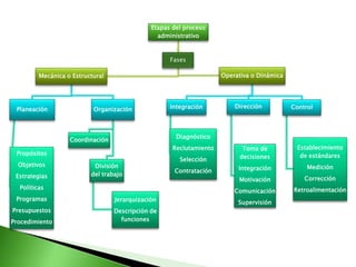 Etapas del proceso
administrativo
Fases
Mecánica o Estructural
Planeación
Propósitos
Objetivos
Estrategias
Políticas
Programas
Presupuestos
Procedimiento
Organización
Coordinación
División
del trabajo
Jerarquización
Descripción de
funciones
Operativa o Dinámica
Integración
Diagnóstico
Reclutamiento
Selección
Contratación
Dirección
Toma de
decisiones
Integración
Motivación
Comunicación
Supervisión
Control
Establecimiento
de estándares
Medición
Corrección
Retroalimentación
 
