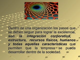 Dentro de una organización los pasos que se deben seguir para lograr la excelencia,  son la integración corporativa,  estructura,  recursos físicos, humanos y todas aquellas características  que permiten que la empresa se pueda desarrollar dentro de la sociedad. 