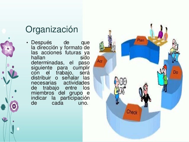 Proceso administrativo organizacion