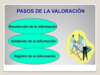 PASOS DE LA VALORACIÓN
Recolección de la información

Validación de la información

Registro de la información

 