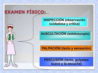 EXAMEN FÍSICO:
INSPECCIÓN (observación
cuidadosa y crítica)
AUSCULTACIÓN (estetoscopio)

PALPACIÓN (tacto y sensación)

PERCUSIÓN (tacto, golpeteo
suave y la escucha)

 