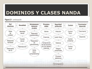 DOMINIOS Y CLASES NANDA

 