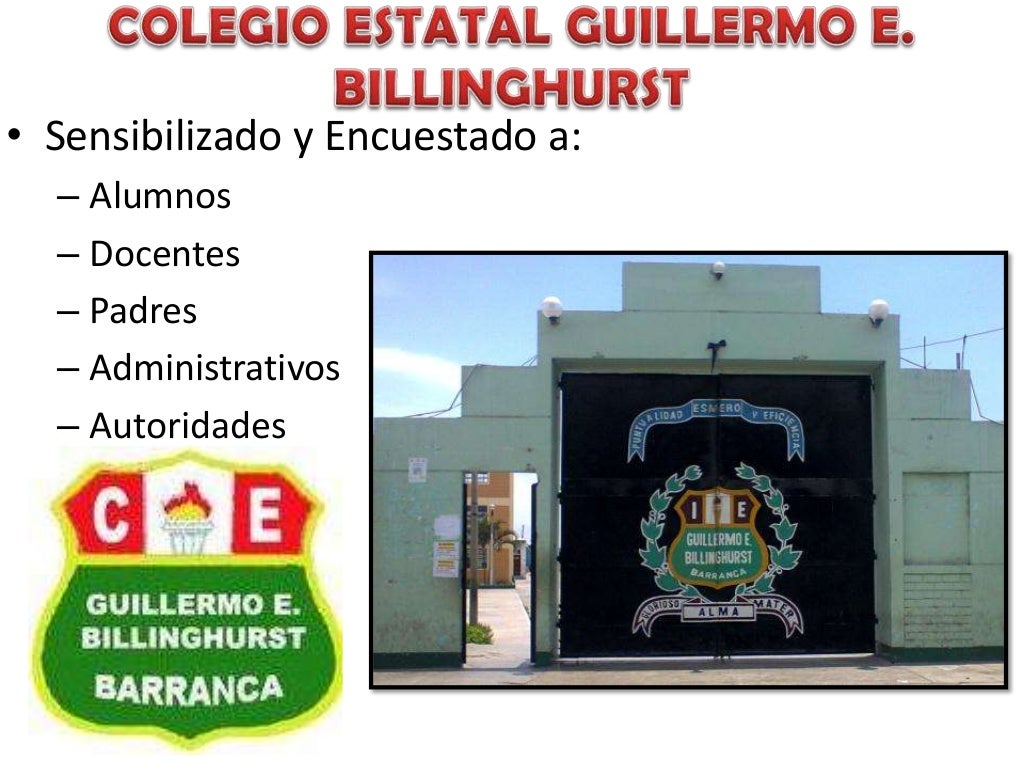 Proceso Autoevaluación en Colegio Guillermo E. Billinghurst