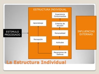 ESTRUCTURA INDIVIDUAL
Experiencia
Conocimientos

Aprendizaje

ESTIMULO
PROCESADO

Criterios de
decisión

Personalidad

Percepción
Actitudes

Mecanismos de
Defensa

La Estructura Individual

INFLUENCIAS
EXTERNAS

 