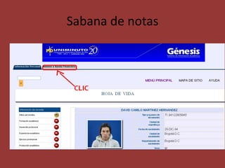 Sabana de notas
 
