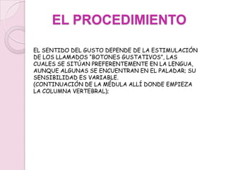 LAS SENSACIONES DEL GUSTO LLEGAN EN PRINCIPIO AL BULBO RAQUÍDEO Y LUEGO, DE MANERA CONSCIENTE, A LA CORTEZA CEREBRALEL NERVIO GLOSOFARÍNGEO SE OCUPA DE REGULAR LA SENSIBILIDAD DE UN TERCIO DE LA PARTE POSTERIOR DE LA LENGUA Y DE LA SENSIBILIDAD DEL PALADAR