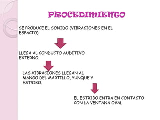 EL OÍDO INTERNO REPRESENTA EL FINAL DE LA CADENA DE PROCESAMIENTO MECÁNICO DEL SONIDO, Y EN ÉL SE LLEVAN A CABO TRES FUNCIONES PRIMORDIALES: FILTRAJE DE LA SEÑAL SONORA, TRANSDUCCIÓN Y GENERACIÓN PROBABILÍSTICA DE IMPULSOS NERVIOSOS.