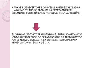 LA VENTANA OVAL TRANSMITE LA VIBRACIÓN DE LOS HUESECILLOS DEL OÍDO MEDIO A TRAVÉS DE ONDAS (PRESIÓN).SE PRODUCE UNA PRESIÓN EN LA PERILINFA DE LA RAMPA VESTIBULAR COCLEAR.SE ESTIMULA LA MEMBRANA DE REISSNER Y SE TRANSMITE LA VIBRACIÓN A TRAVÉS DE LA ENDOLINFA DEL CONDUCTO COCLEAR.