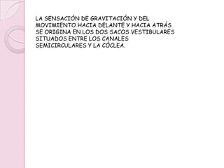 LOS SENTIDOS VESTIBULARES CONTROLAN EL EQUILIBRIO E INDICAN LA POSICIÓN CORPORAL. SUS RECEPTORES ESTÁN SITUADOS EN LOS ÓRGANOS VESTIBULARES DEL OÍDO INTERNO. LA SENSACIÓN DE LA ROTACIÓN CORPORAL PROVIENE DE TRES CANALES SEMICIRCULARES DEL OÍDO INTERNO. 