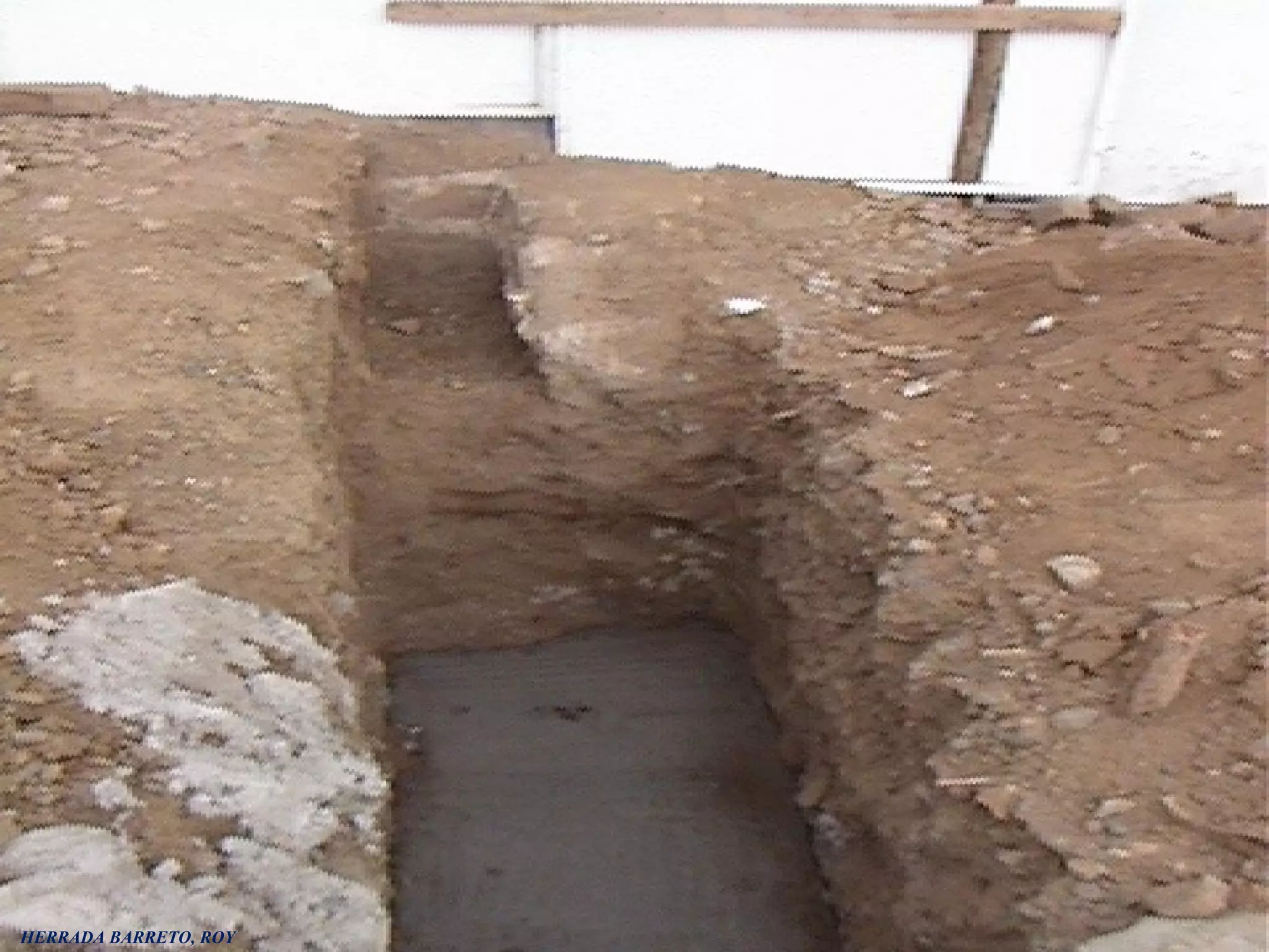 HERRADA BARRETO, ROY
 