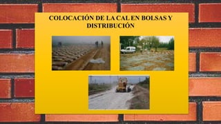 COLOCACIÓN DE LA CAL EN BOLSAS Y
DISTRIBUCIÓN
 