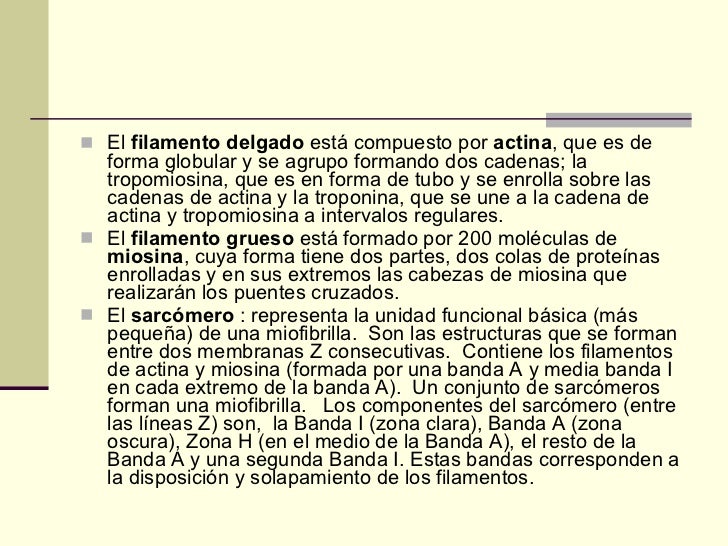 que es la pros imagenes de cuestionamiento que es la pros imagenes de cuestionamiento