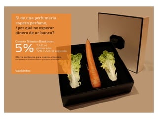 El Proceso Creativo - Brief