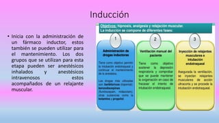 Inducción
• Inicia con la administración de
un fármaco inductor, estos
también se pueden utilizar para
el mantenimiento. Los dos
grupos que se utilizan para esta
etapa pueden ser anestésicos
inhalados y anestésicos
intravenosos estos
acompañados de un relajante
muscular.
 