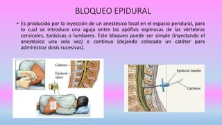 BLOQUEO EPIDURAL
• Es producido por la inyección de un anestésico local en el espacio peridural, para
lo cual se introduce una aguja entre las apófisis espinosas de las vértebras
cervicales, torácicas o lumbares. Este bloqueo puede ser simple (inyectando el
anestésico una sola vez) o continuo (dejando colocado un catéter para
administrar dosis sucesivas).
 