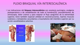 PLEXO BRAQUIAL VÍA INTERESCALÉNICA
• Las indicaciones del bloqueo interescalénico son anestesia quirúrgica, analgesia
postoperatoria o de rehabilitación de todo el hombro(25), procedimientos de
artroscopia, dolor crónico y para mejorar el flujo sanguíneo de la extremidad
superior, tiene también especial utilidad en reconstrucciones, injertos musculo
cutáneos y reimplantes secundarios a traumatismo del miembro superior por su
acción vasodilatadora selectiva.
 