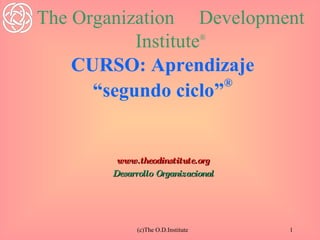 CURSO: Aprendizaje “segundo ciclo” ® www.theodinstitute.org Desarrollo Organizacional (c)The O.D.Institute The Organization  Development Institute ® 
