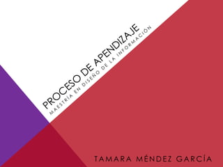 PROCESO DE APENDIZAJE Maestría en diseño de la información TAMARA MÉNDEZ GARCÍA 