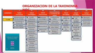 ORGANIZACION DE LA TAXONOMIA
NOC
 