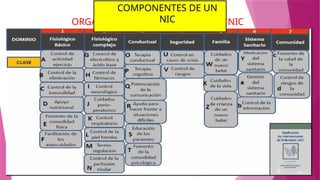 ORGANIZACION DE LA TAXONOMIA NIC
COMPONENTES DE UN
NIC
 