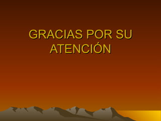 GRACIAS POR SU ATENCIÓN 